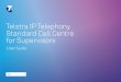 Telstra IP Telephony Standard Call Centre for Supervisors