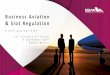 Business Aviation & Slot Regulation