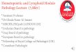 Hematopoietic and Lymphoid Case Study