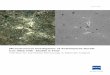 Microstructural Investigation of Austempered Ductile Iron 