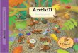 Encyclopedia of antsAll you need to know about ants Anthill