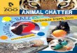 animal chatter - Bramble Park Zoo