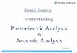 Piezoelectric Analysis Acoustic Analysis