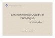 Environmental Quality in Nicaragua - NARUC