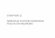 CHAPTER 11 NERVOUS SYSTEM OVERVIEW: FOCUS ON NEURONS