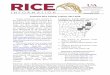 Arkansas Rice Cultivar Testing, 2017-2019