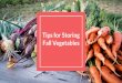 Fall Vegetables Tips for Storing