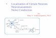 Localization of Certain Neurons Neurotransmitters Nerve