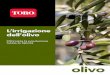 L’irrigazione dell’olivo - Gaiotto Impianti