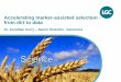 Accelerating marker-assisted selection - from dirt to data
