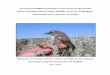Terrestrial Wildlife and Habitat Assessment on Bonneville 