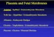 Placenta and Fetal Membranes - Tulane University