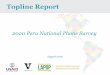 2020 Peru National Phone Survey - Vanderbilt University
