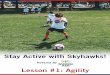 Staying Active with Skyhawks Agility