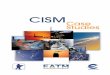 CISM case studies - SKYbrary