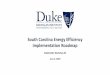 South Carolina Energy Efficiency Implementation Roadmap