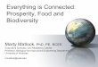 Everything is Connected: Prosperity, Food and Biodiversity