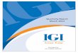 IGI SF Accounts March 2013
