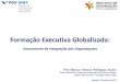 Formação Executiva Globalizada