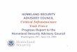 HOMELAND SECURITY ADVISORY COUNCIL Critical Infrastructure 