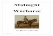 Midnight Warhorse - Haydon Horse Stud