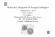 Molecular Diagnosis of Fungal Pathogens