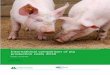 International comparison of pig production costs 2018
