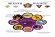 President Ford Council Boy Scouts of America WOOD BADGE