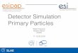Detector Simulation Primary Particles
