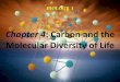 Chapter 4: Carbon and the Molecular Diversity of Life