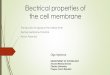 Electrical properties of the cell membrane