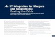 IT Integration for Mergers and Acquisitions: Beating the Odds