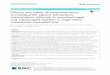 Efficacy and safety of ascending doses of praziquantel 