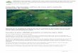Colombia: Descienden cultivos de coca, pero aumenta 
