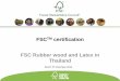FSC Rubber wood and Latex in Thailand