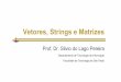 Vetores, Strings e Matrizes - IME-USP