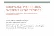 CROPS AND PRODUCTION SYSTEMS IN THE TROPICS