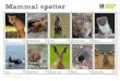 Mammal SP0tter Otter Brown hare Wildlife v:atCh TRUSTS 
