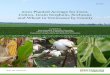 2021 Planted Acreage for Corn, Cotton, Grain Sorghum 