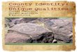 County Identity: unique Qualities & Conditions