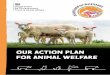 Action Plan for Animal Welfare - GOV.UK
