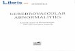 Cerebrovascular abnormalities - Leon Danaila