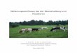 Witterungseinflüsse bei der Weidehaltung von Nutztieren
