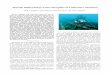 Towards Multi-Camera Active Perception of Underwater 