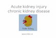 Acute kidney injury chronic kidney disease