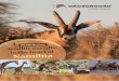 Hunting & Guestfarm - Okosongoro Safari Ranch Namibia