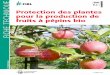 Protection des plantes pour la production de fruits à 