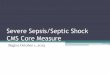 Severe Sepsis/Septic Shock CMS Core Measure