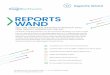 REPORTS WAND