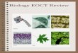 Biology EOC Review - DHS Helper